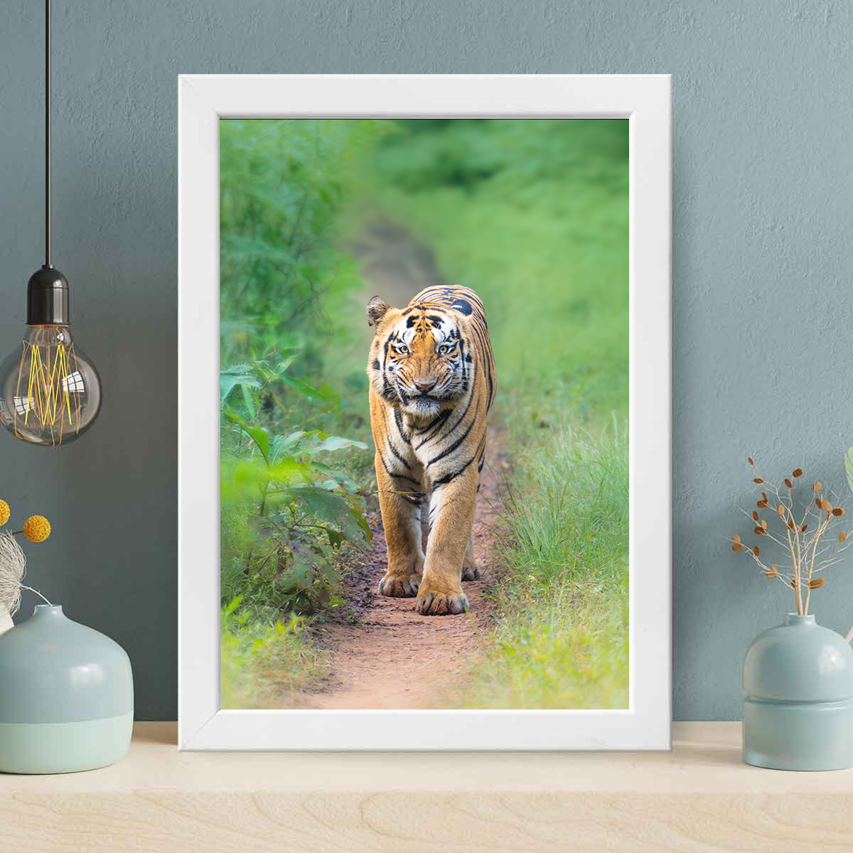 Tiger in Tadoba - Head On