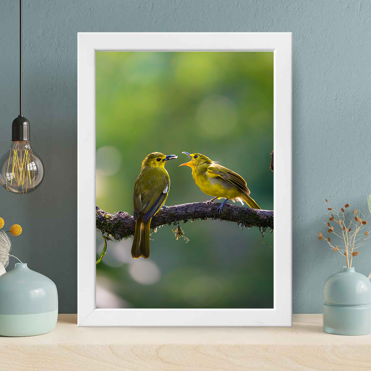 Yellow-browed Bulbul Feeding
