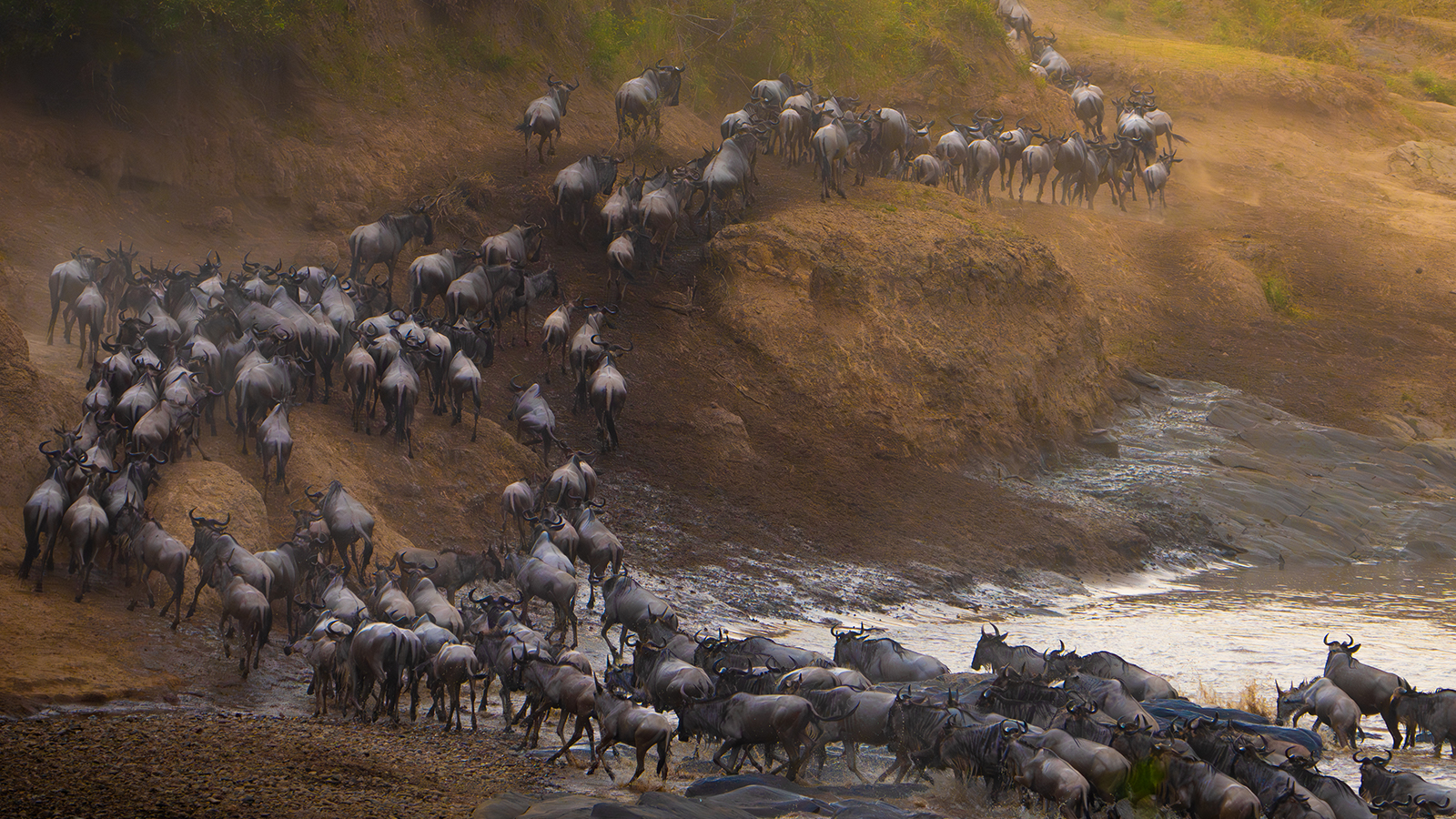 African Safari Expedition - Masai Mara